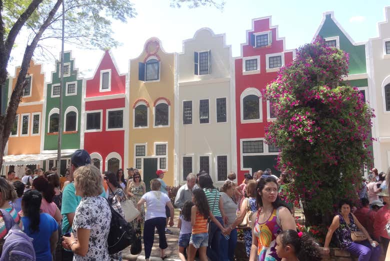 Casas em Holambra