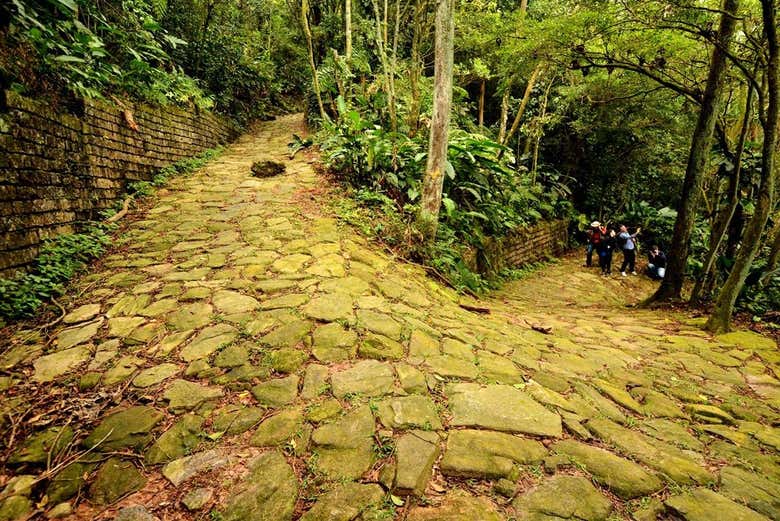 Estrada Velha de Santos