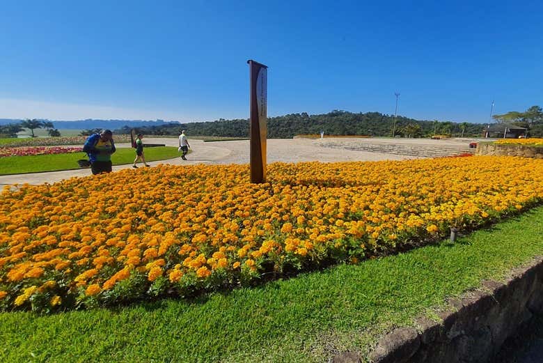 Haciendo una foto al jardín de flores