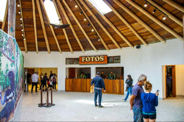 Você vai adorar a visita ao Simba Safari!