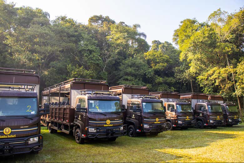 Vários caminhões safári estacionados no parque