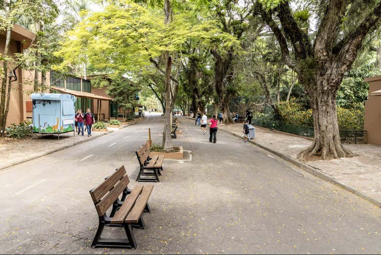 Calle principal del Zoo de São Paulo