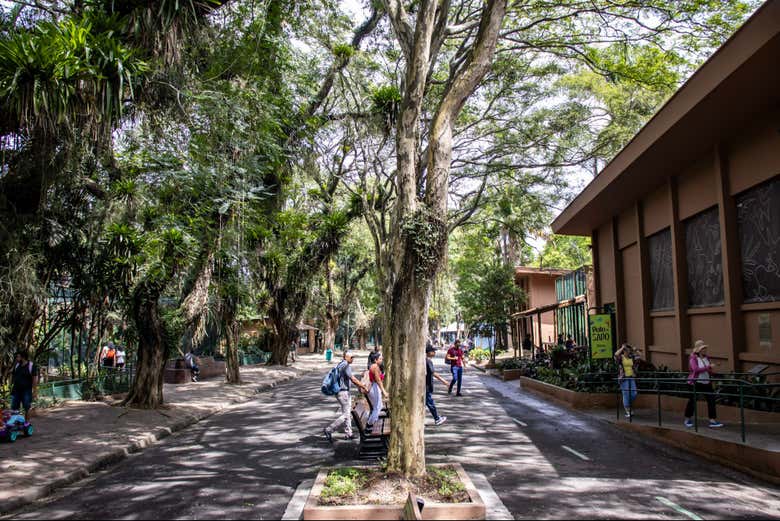 Podréis recorrer diferentes espacios del Zoo de São Paulo