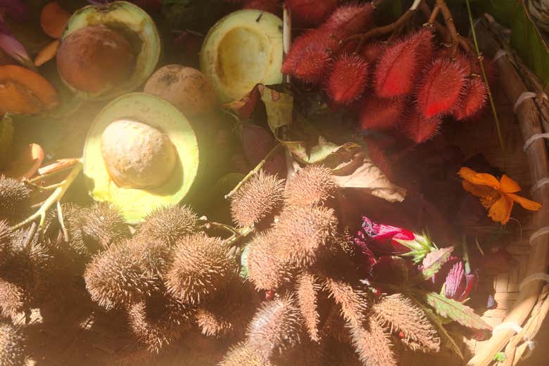 Flores, hojas y frutos utilizados en el proceso