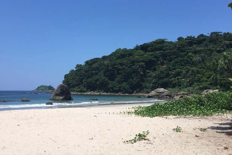 Praia da ilha de Santo Amaro