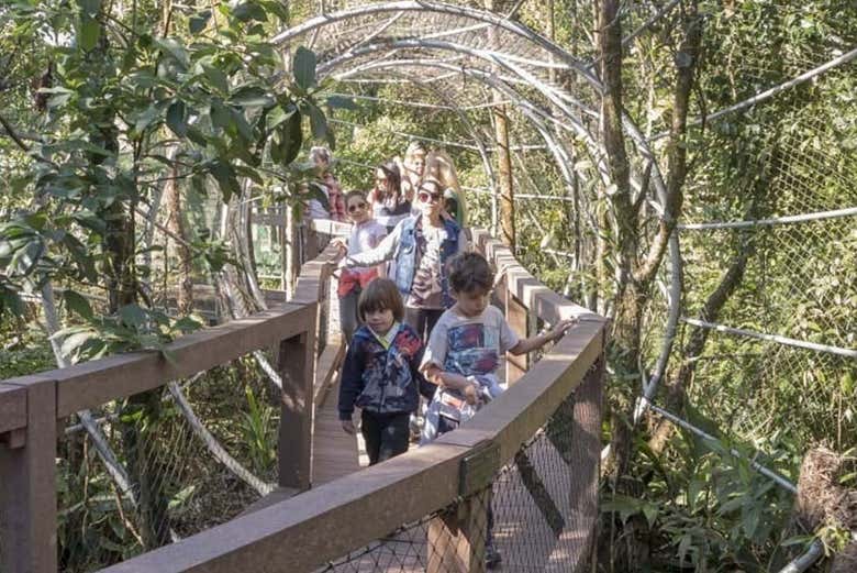 Apreciando a atividade