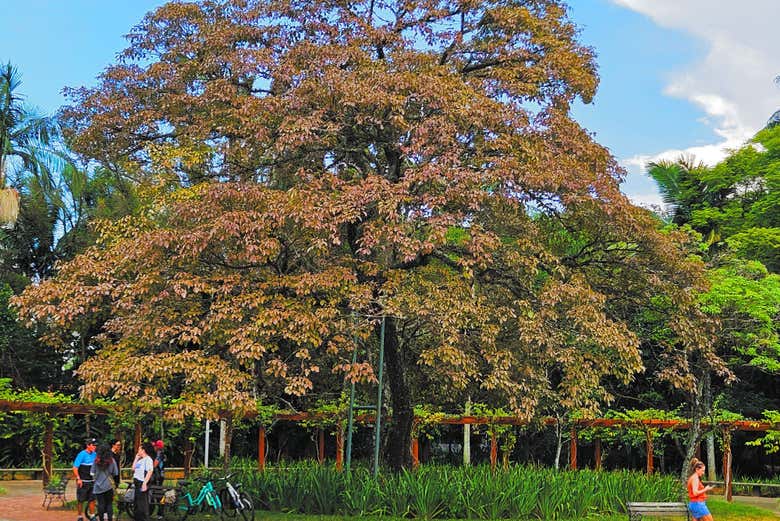 Será un tour lleno de naturaleza