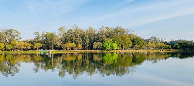 Ibirapuera Park Tour
