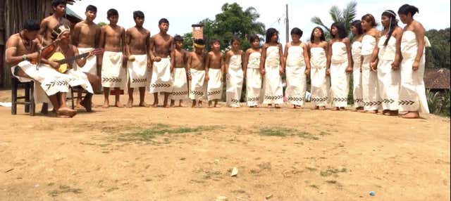 Visita privada à tribo guarani Tenondé Porã