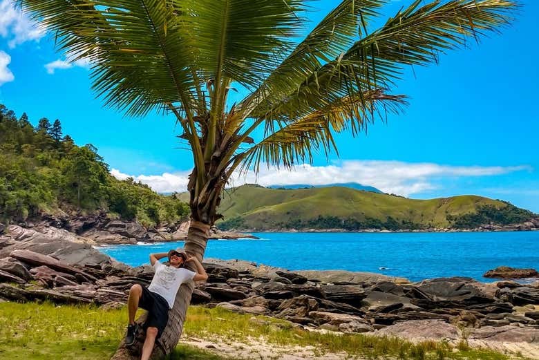 Foto com o coqueiro na praia de Calhetas