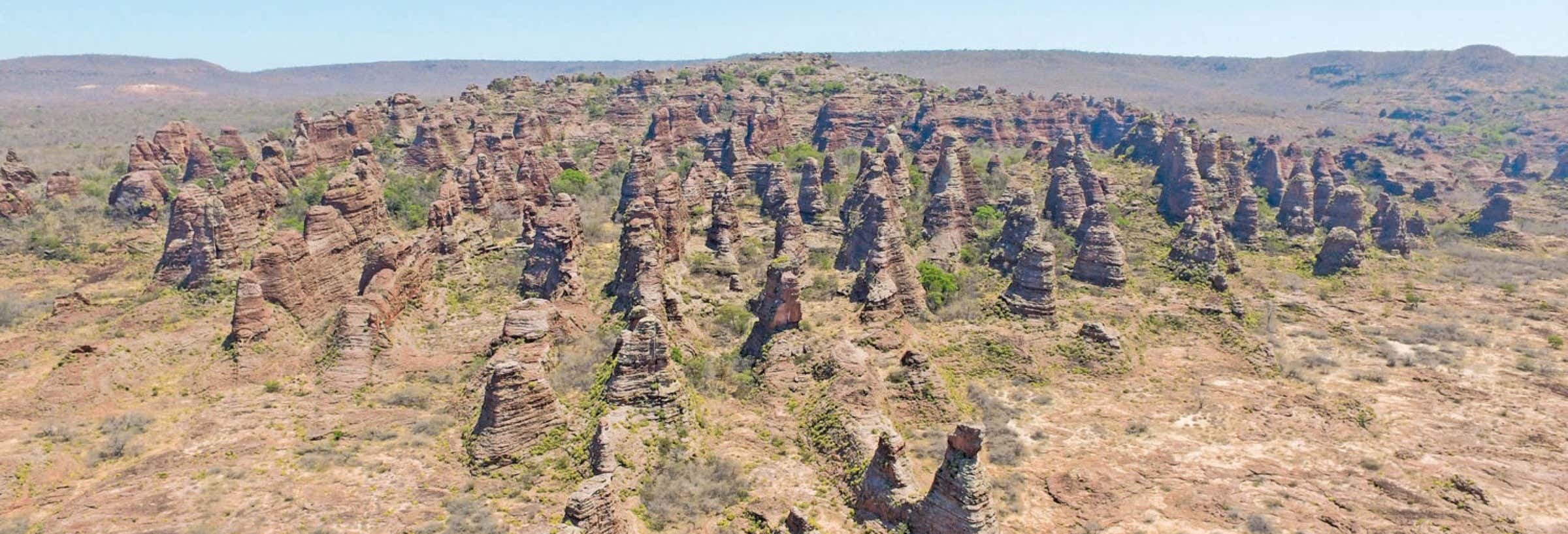 Day trips in Teresina 