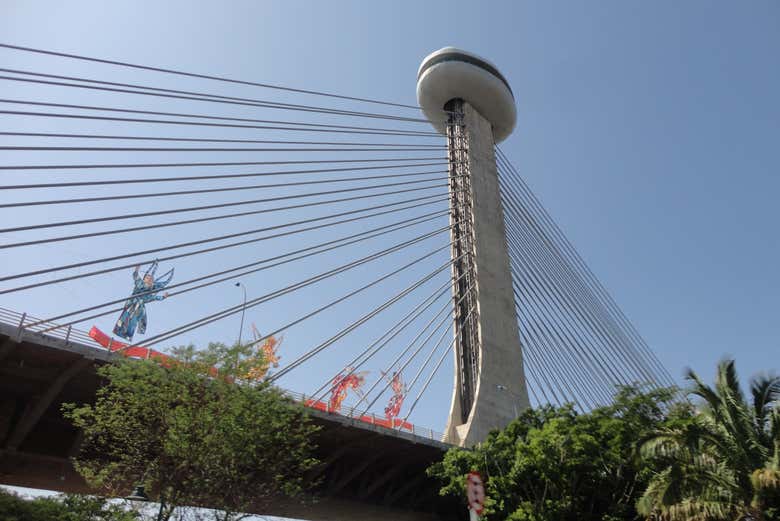 Wander to the Ponte Estaiada Structure
