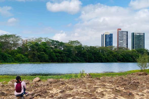 Trilha pela Floresta Fóssil de Teresina