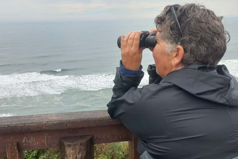 Contemplando la costa de Torres