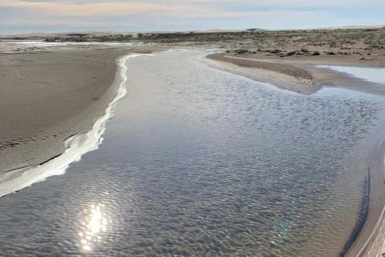 Una de las lagunas del parque