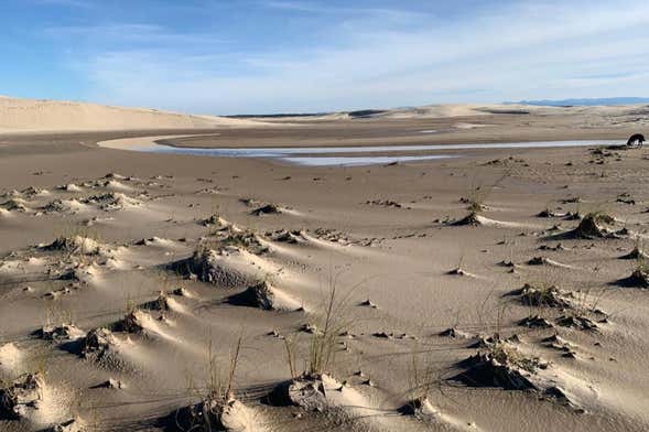 Hiking in Parque das Dunas