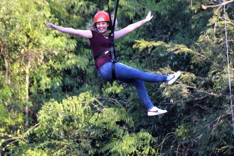 Flying through the treetops