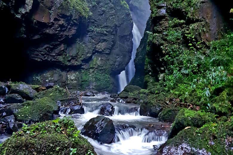 Parque das Laranjeiras