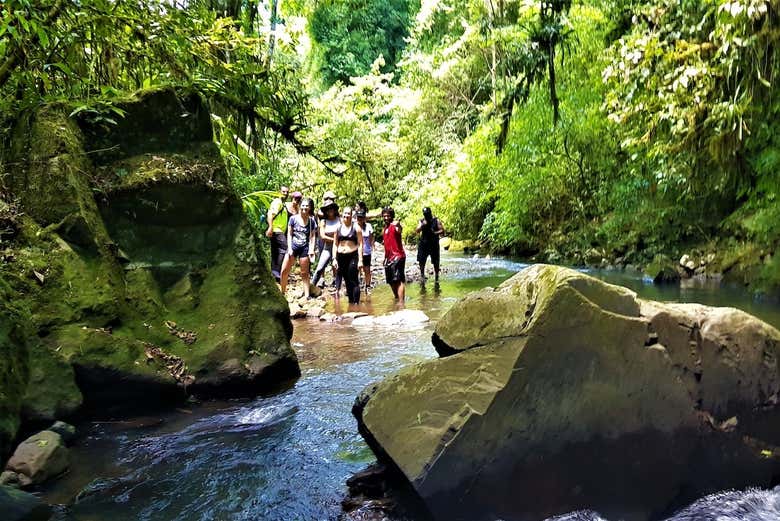 Strolling along the creeks