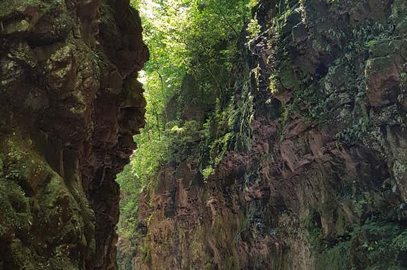 Senderismo por la cascada de Gavião Faiado