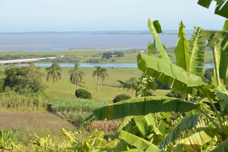 Alla scoperta della flora locale