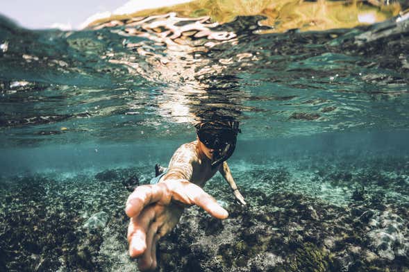 Immersione per principianti a Ubatuba
