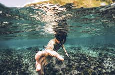 Immersione per principianti a Ubatuba