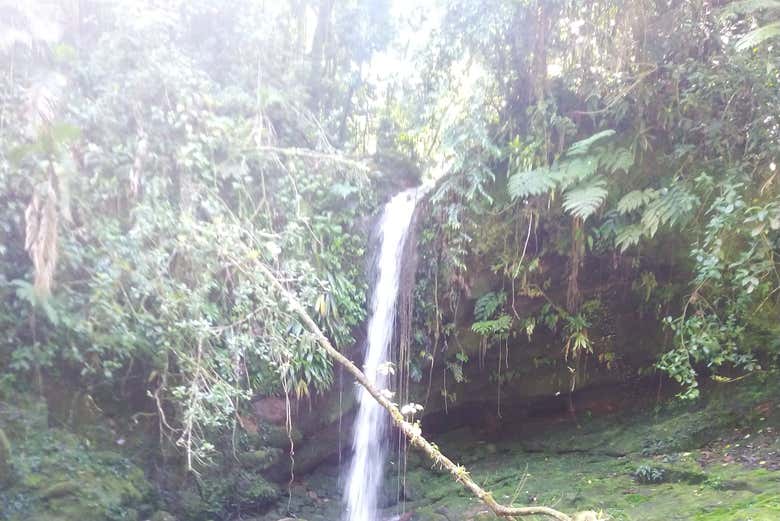 One of the waterfalls we'll see