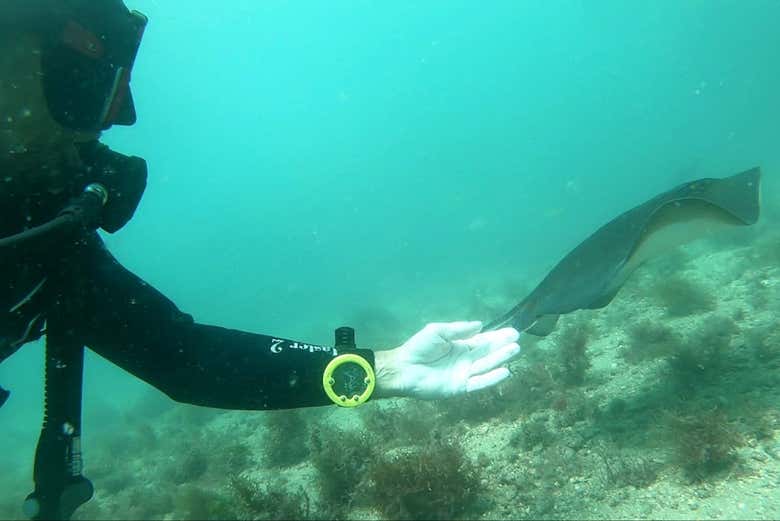 See lots of cool fish!