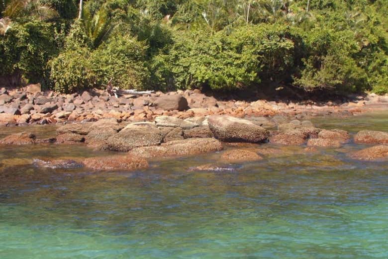 Praias do sul de Ubatuba