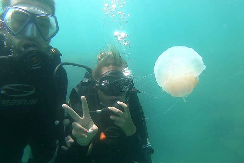 Spotting some marine life!