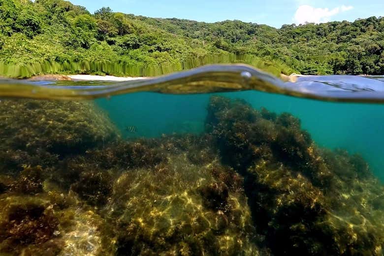 Águas cristalinas no litoral de Ubatuba