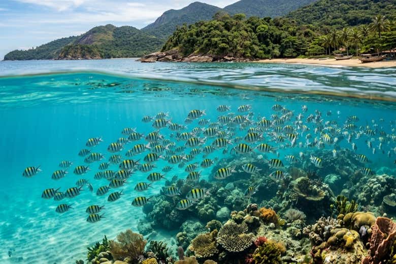 Peces en las aguas de isla Couves