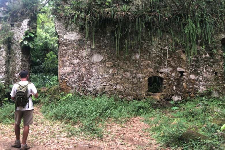 Learn about the history of the area as we hike