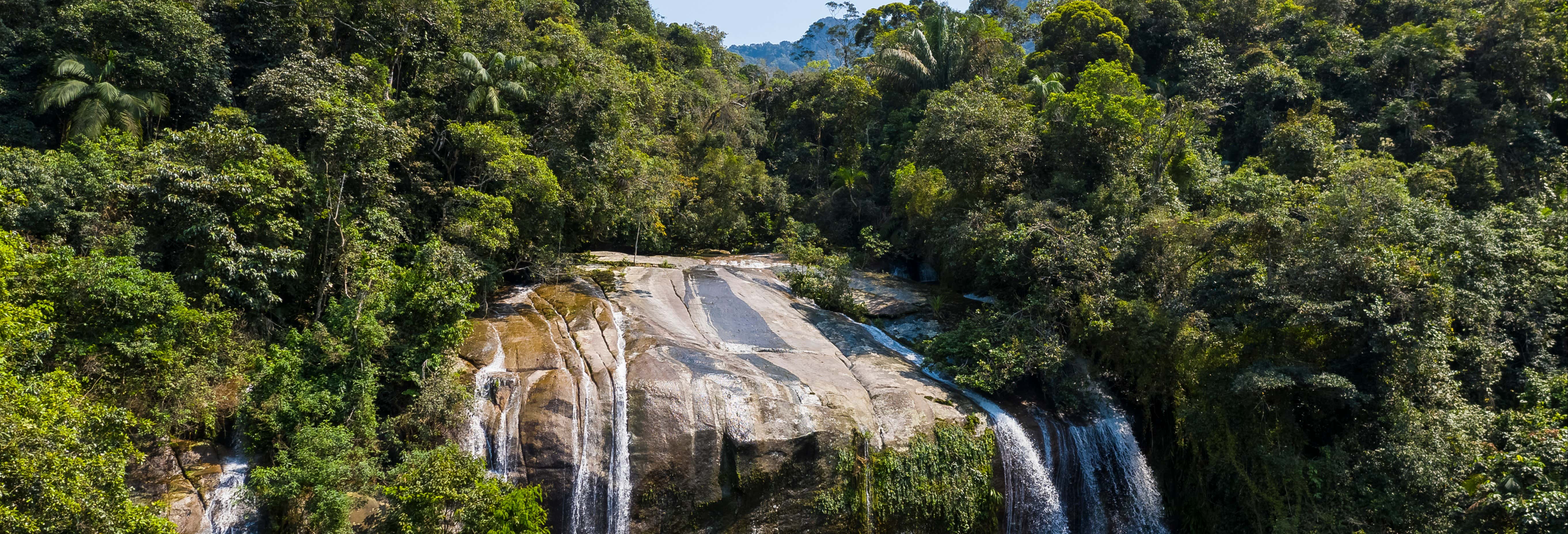 Trilha / Trekking em Ubatuba 
