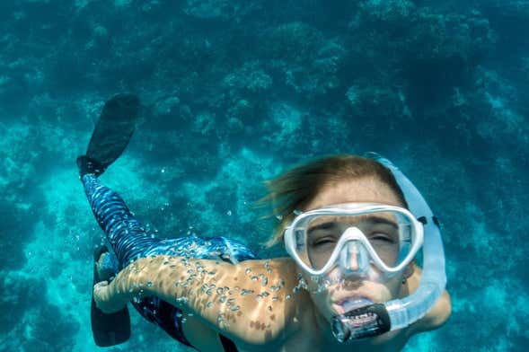 Snorkel en Ubatuba