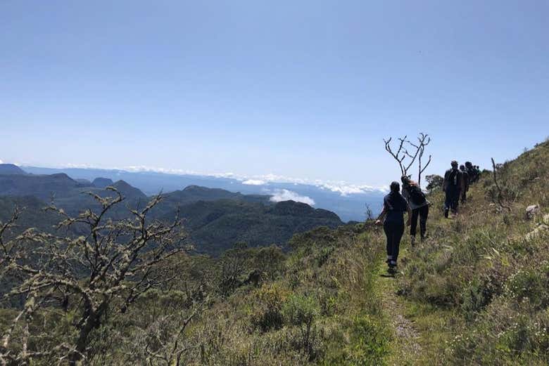 Trilha pelo parque