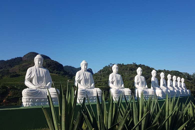 Budas en posición de meditación
