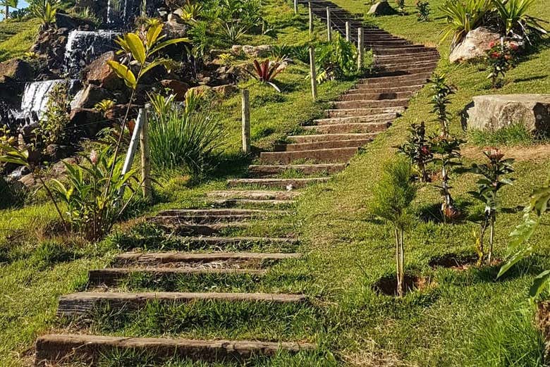 Escaleras para llegar al buda