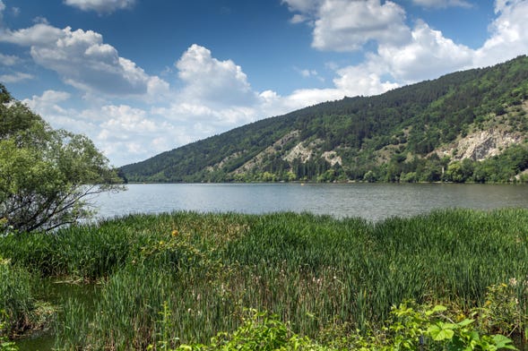 Vitosha Mountain & Lake Pancharevo Day Trip