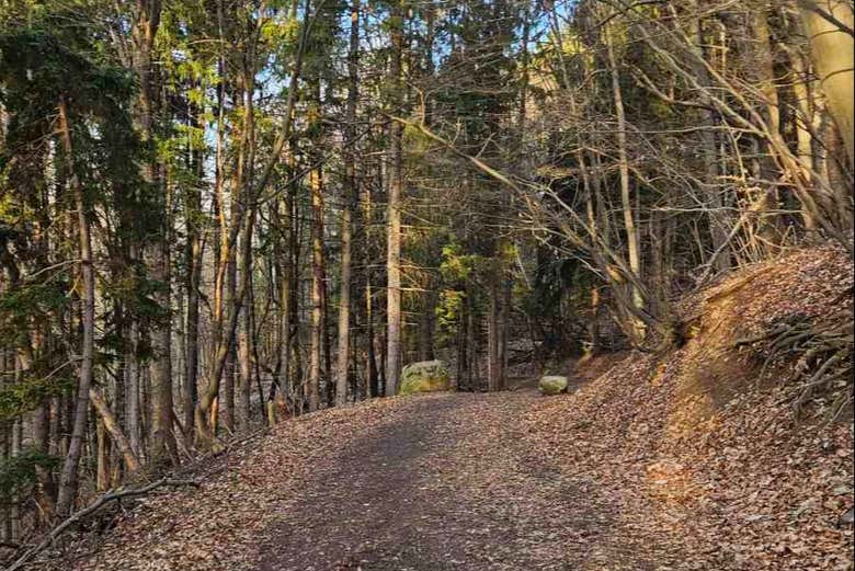 Caminos por los que exploraremos la naturaleza b´lugara