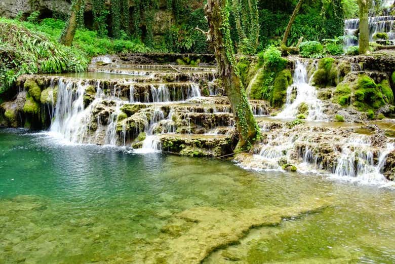 Immerse yourself in nature