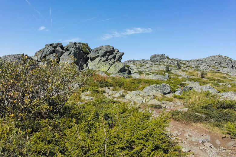 Formaciones rocosas en la montaña Vitosha