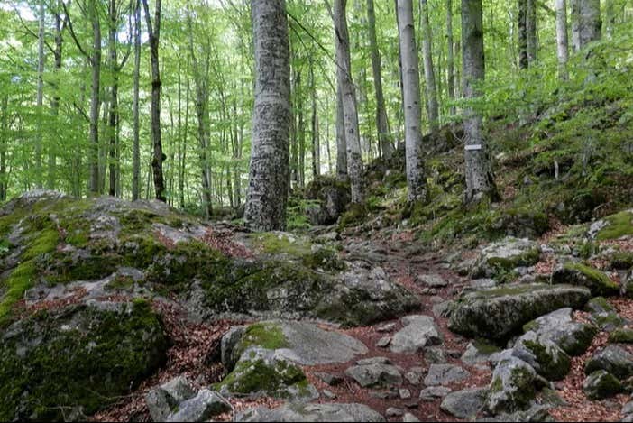 La natura nei dintorni della grotta di Ivan Rilski