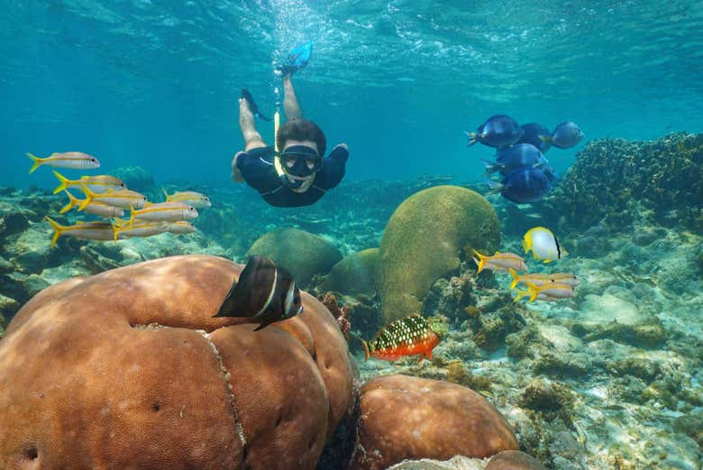 Make the most of your trip with this snorkeling adventure!