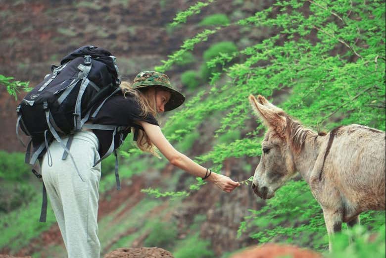 Incontreremo la fauna locale