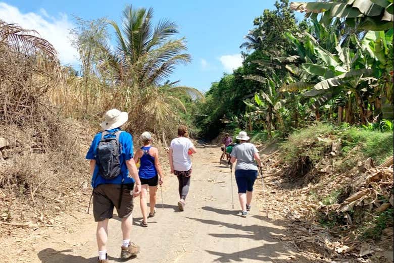 Esplorando la piantagione di banane