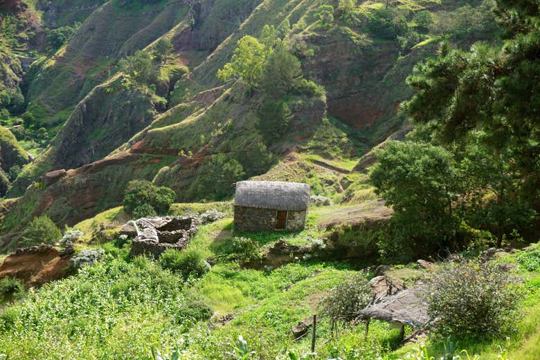 Rural houses