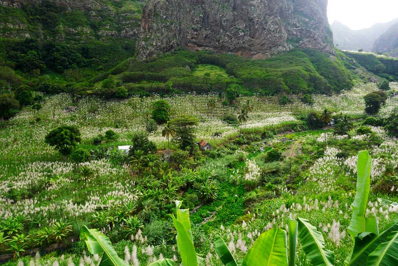 Exploring the natural landscapes of Cape Verde