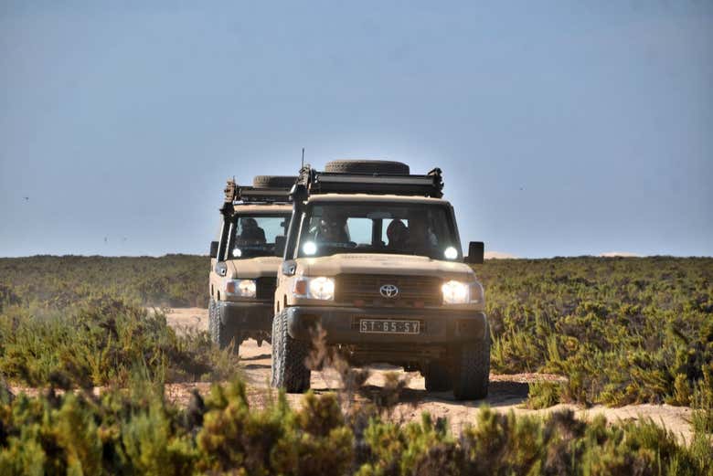 Drive through the deserts